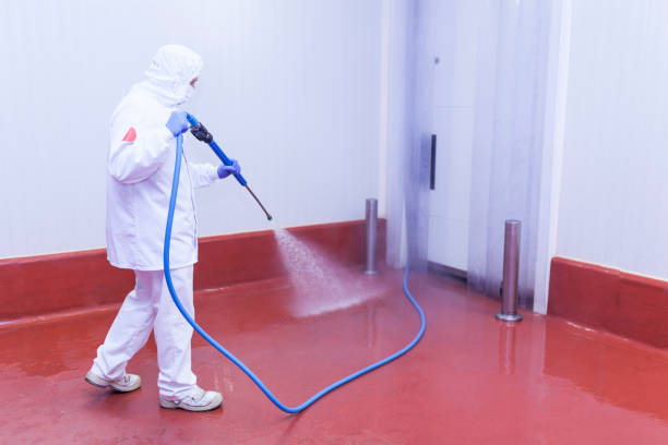 Best Roof Washing  in Belle Glade, FL
